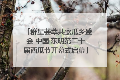 群星荟萃共襄瓜乡盛会 中国·东明第二十届西瓜节开幕式启幕