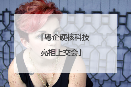 粤企硬核科技亮相上交会