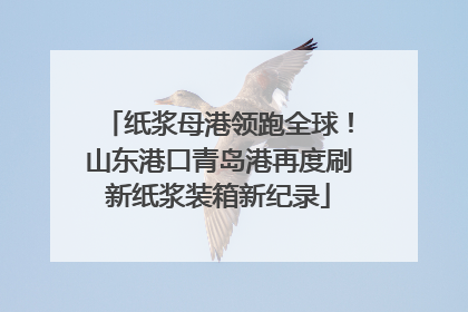 纸浆母港领跑全球！山东港口青岛港再度刷新纸浆装箱新纪录