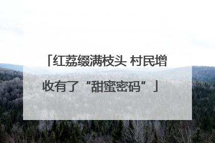 红荔缀满枝头 村民增收有了“甜蜜密码”