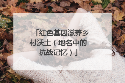 红色基因滋养乡村沃土（地名中的抗战记忆）