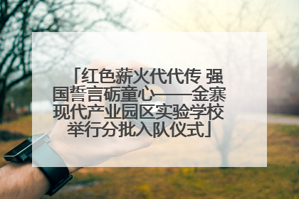 红色薪火代代传 强国誓言砺童心——金寨现代产业园区实验学校举行分批入队仪式