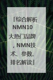 综合解析NMN10大热门品牌，NMN技术、参数、排名解读