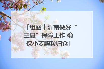 组图丨沂南做好“三夏”保障工作 确保小麦颗粒归仓
