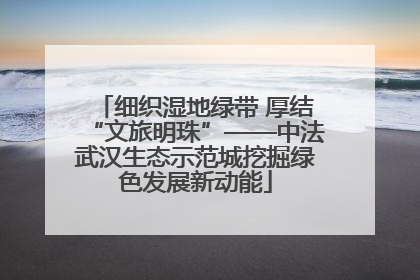 细织湿地绿带 厚结“文旅明珠”——中法武汉生态示范城挖掘绿色发展新动能
