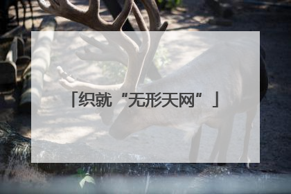 织就“无形天网”