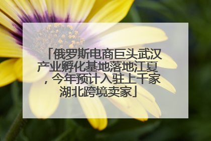 俄罗斯电商巨头武汉产业孵化基地落地江夏，今年预计入驻上千家湖北跨境卖家