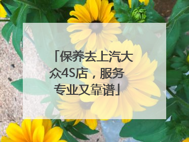保养去上汽大众4S店，服务专业又靠谱