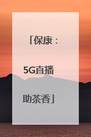 保康：5G直播助茶香
