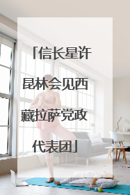 信长星许昆林会见西藏拉萨党政代表团