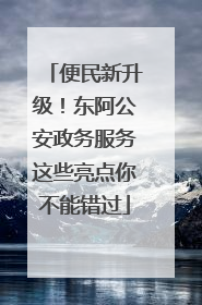 便民新升级！东阿公安政务服务这些亮点你不能错过