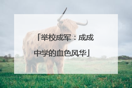 举校成军：成成中学的血色风华