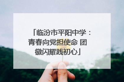 临汾市平阳中学：青春向党担使命 团徽闪耀践初心