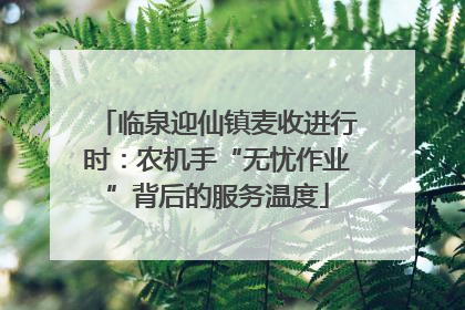 临泉迎仙镇麦收进行时：农机手“无忧作业”背后的服务温度