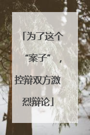 为了这个“案子”，控辩双方激烈辩论