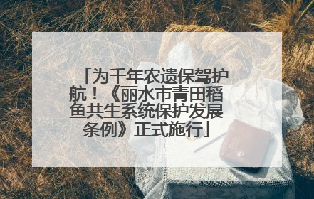 为千年农遗保驾护航！《丽水市青田稻鱼共生系统保护发展条例》正式施行