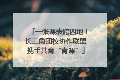 一张课表跨四地！长三角团校协作联盟携手共育“青课”