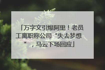 万字文引爆阿里！老员工离职称公司“失去梦想”，马云下场回应
