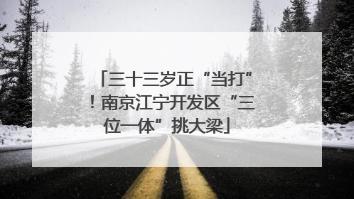 三十三岁正“当打”！南京江宁开发区“三位一体”挑大梁