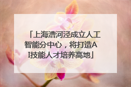 上海漕河泾成立人工智能分中心，将打造AI技能人才培养高地