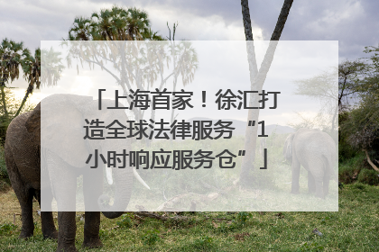 上海首家！徐汇打造全球法律服务“1小时响应服务仓”