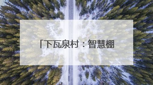 下瓦泉村：智慧棚种出“共富菜”