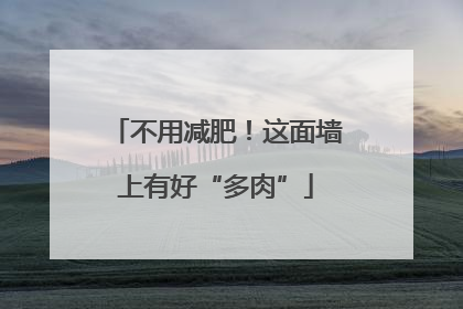 不用减肥！这面墙上有好“多肉”