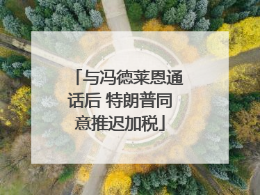与冯德莱恩通话后 特朗普同意推迟加税