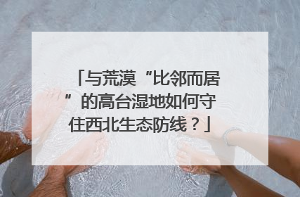 与荒漠“比邻而居”的高台湿地如何守住西北生态防线？