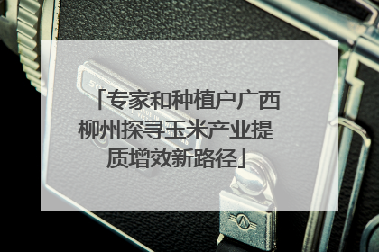 专家和种植户广西柳州探寻玉米产业提质增效新路径