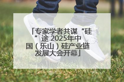 专家学者共谋“硅”途 2025年中国（乐山）硅产业链发展大会开幕
