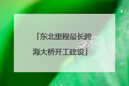 东北里程最长跨海大桥开工建设