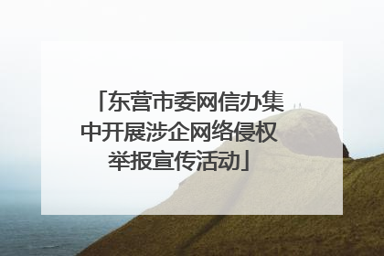 东营市委网信办集中开展涉企网络侵权举报宣传活动
