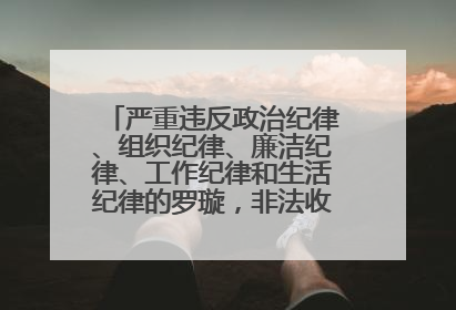 严重违反政治纪律、组织纪律、廉洁纪律、工作纪律和生活纪律的罗璇，非法收受他人巨额财物