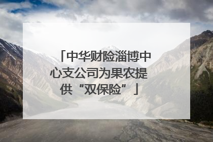 中华财险淄博中心支公司为果农提供“双保险”