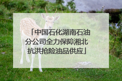 中国石化湖南石油分公司全力保障湘北抗洪抢险油品供应
