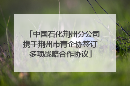 中国石化荆州分公司携手荆州市青企协签订多项战略合作协议