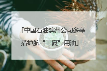 中国石油滨州公司多举措护航“三夏”用油