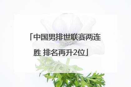 中国男排世联赛两连胜 排名再升2位