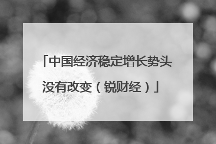 中国经济稳定增长势头没有改变（锐财经）