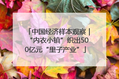 中国经济样本观察｜“内衣小镇”织出500亿元“里子产业”