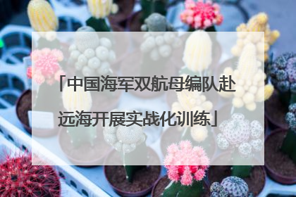 中国海军双航母编队赴远海开展实战化训练