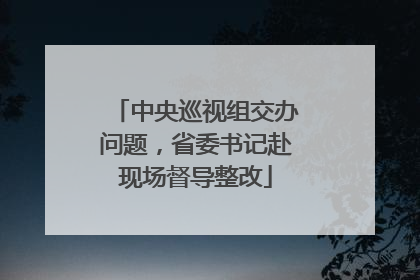 中央巡视组交办问题，省委书记赴现场督导整改