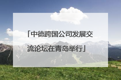 中德跨国公司发展交流论坛在青岛举行