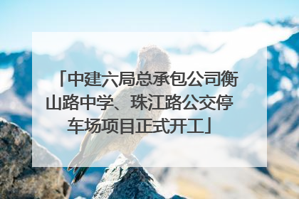 中建六局总承包公司衡山路中学、珠江路公交停车场项目正式开工
