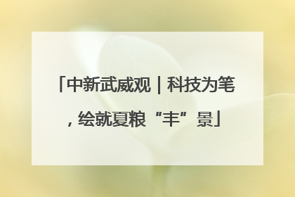 中新武威观｜科技为笔，绘就夏粮“丰”景