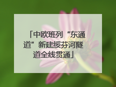 中欧班列“东通道”新建绥芬河隧道全线贯通