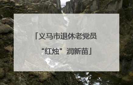 义马市退休老党员“红烛”润新苗