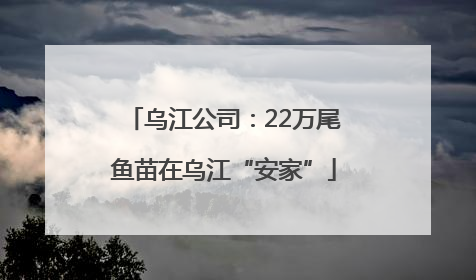 乌江公司：22万尾鱼苗在乌江“安家”