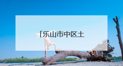乐山市中区土主幼儿园教育集团：正教师之风，铸教育之魂